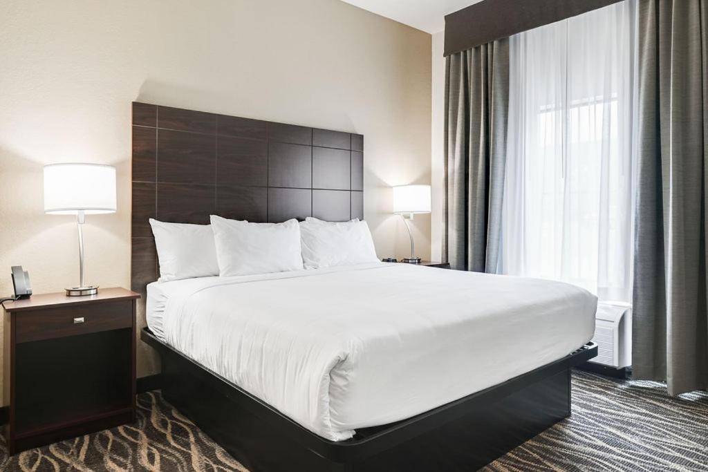 Cobblestone Hotel & Suites - Mosinee المظهر الخارجي الصورة